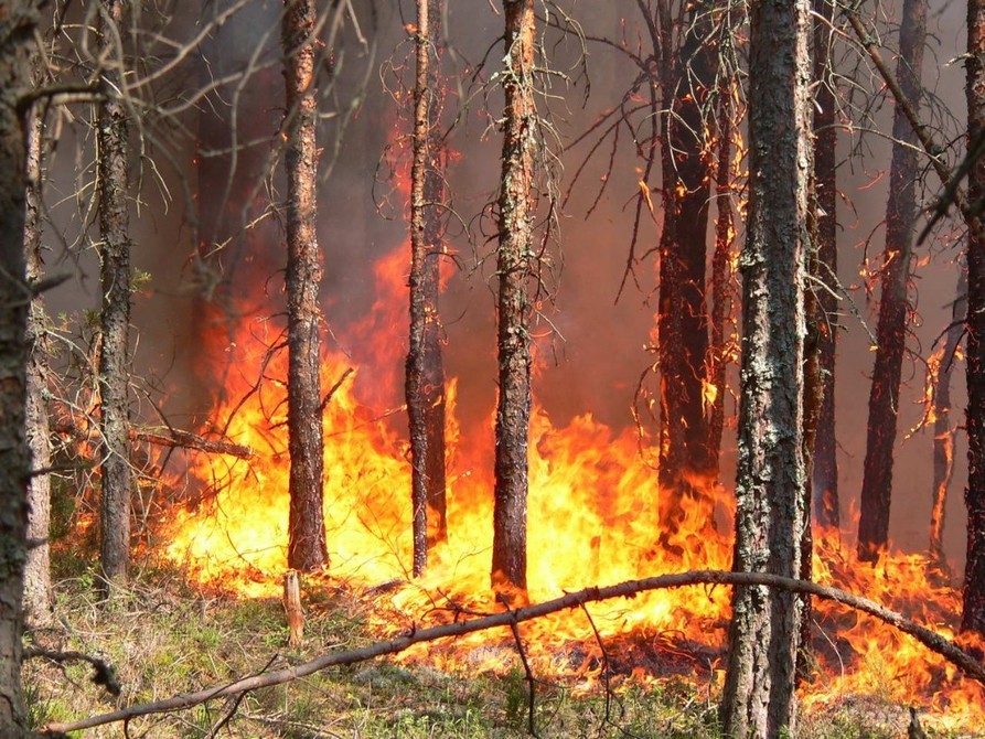 Алексей Колодезников: «В Якутии пожароопасный сезон середине мая»
