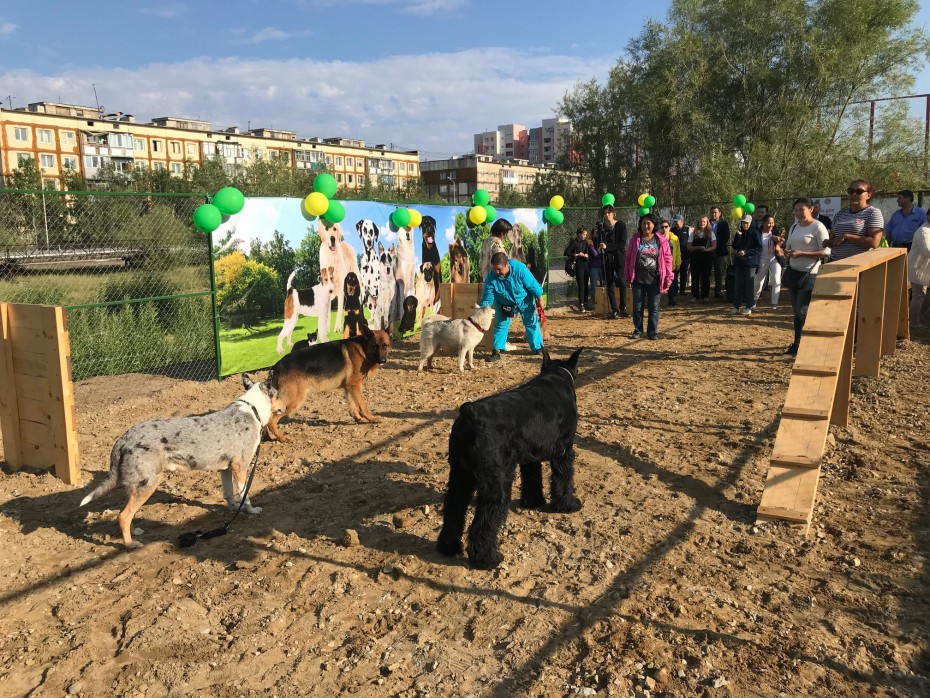 Площадка для выгула собак открылась в Губинском округе