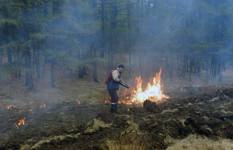 Крупные пожары в Якутии локализованы