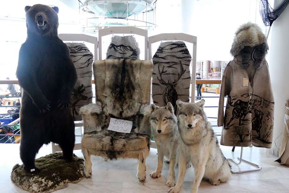 Выставка «Охота и традиции в Якутии» распахнула свои двери для горожан