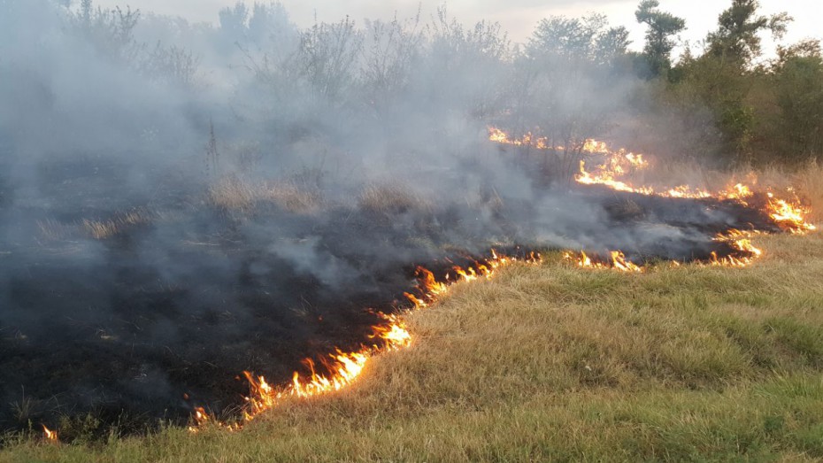 Минэкологии Якутии: сжигание сухой травы – одна из причин лесных пожаров