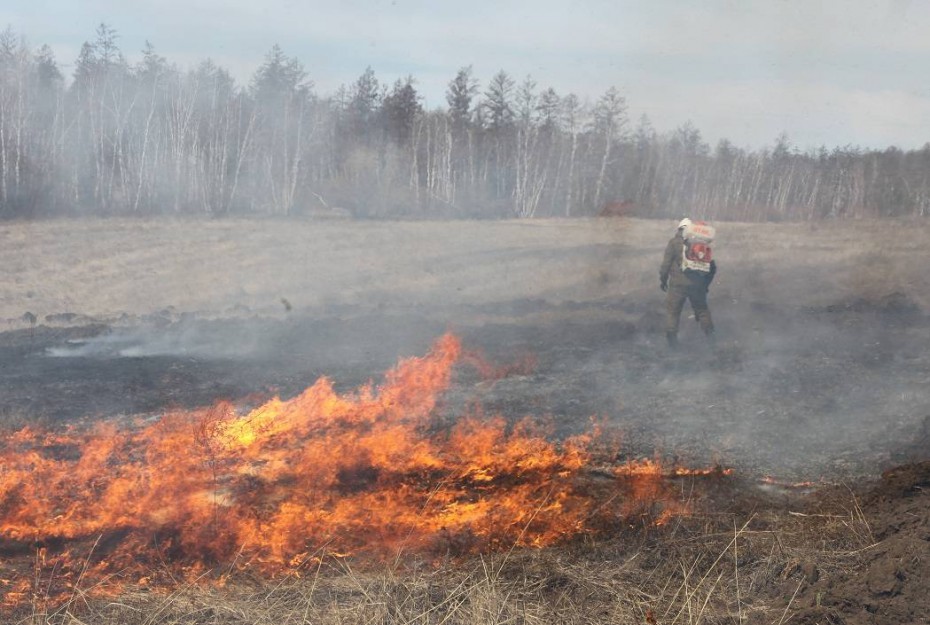 В Якутске, Ленске и Алдане ликвидировано горение травы