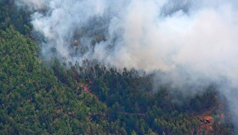 Оперативная информация о лесных пожарах на 13 июня
