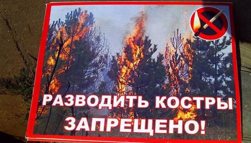 Оперативная информация по лесным пожарам на 20 июня