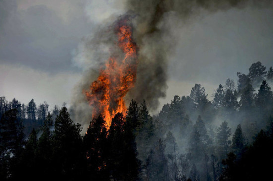 За лесными пожарами хотят следить с помощью дронов