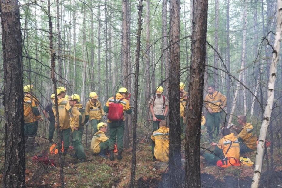 Лесным ведомствам Якутии и Сибири поручено обеспечить своевременность принятия мер по контролю и реагированию на лесопожарную обстановку