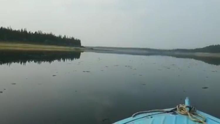 Минэкологии Якутии проверяет информацию о загрязнении реки Вилюй