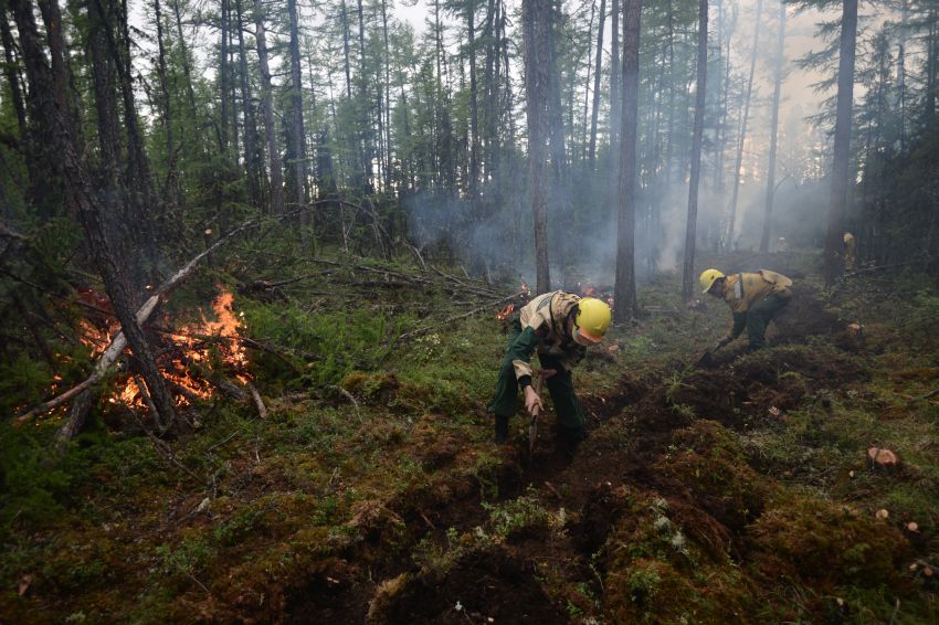В Якутии за прошедшие сутки ликвидировано 18 лесных пожаров