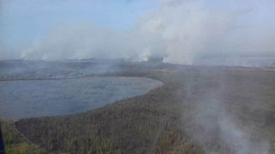 70 человек продолжают борьбу с природным пожаром возле села Эбях