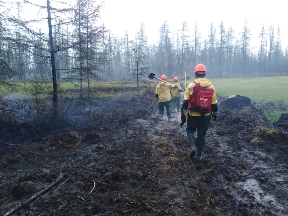 Оперативная информация о лесных пожарах на 28 августа