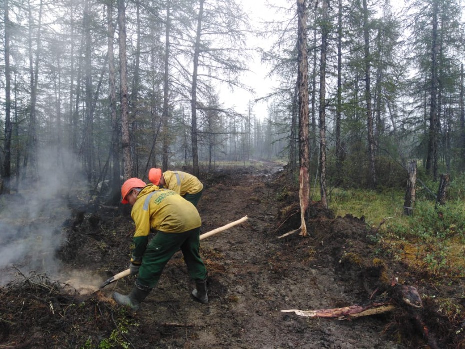 Оперативная информация о лесных пожарах на 19 августа