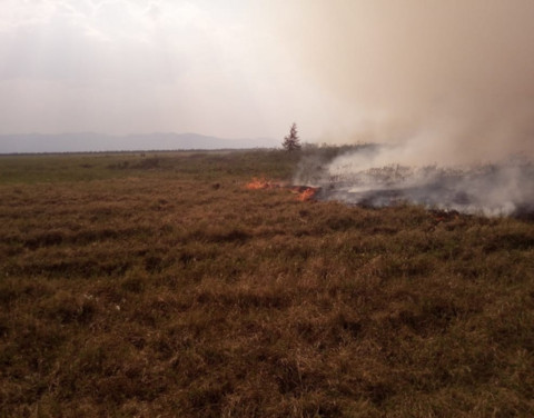 Ситуация сложная, но контролируемая. В Усть-Янском районе борются с лесными пожарами
