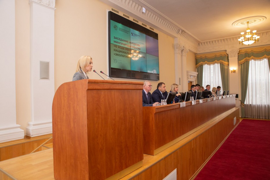 На заседании Коллегии Минприроды России обсудили ход реализации национального проекта «Экология»