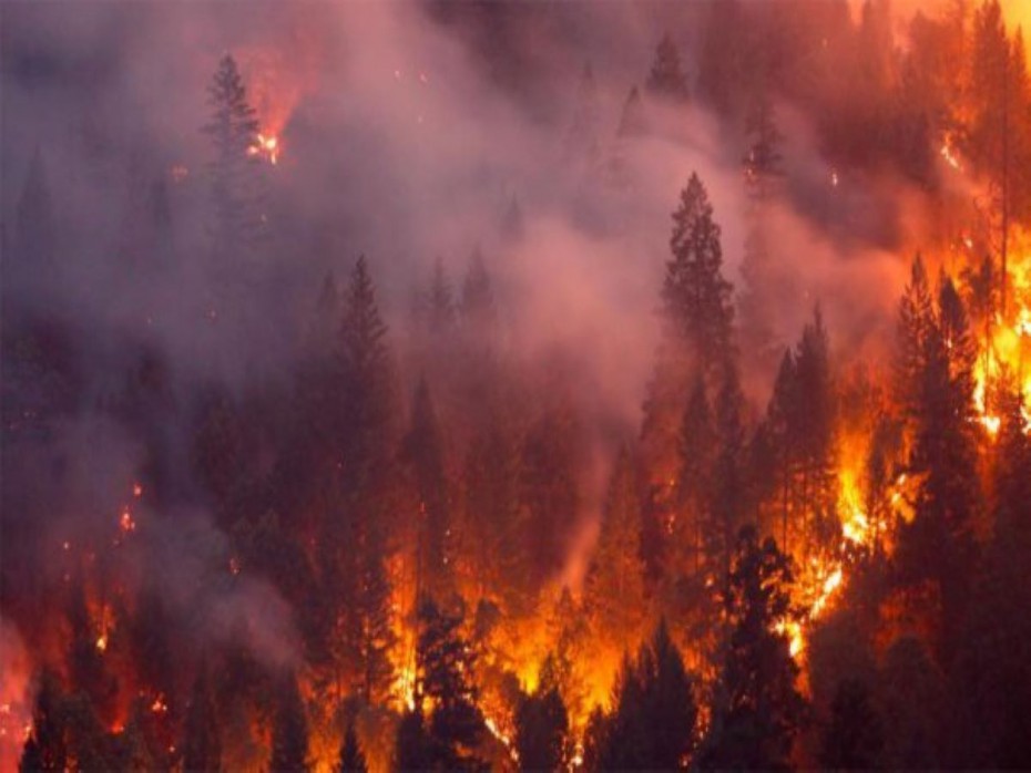 Верхоянская межрайонная прокуратура направила в суд уголовное дело по факту лесного пожара