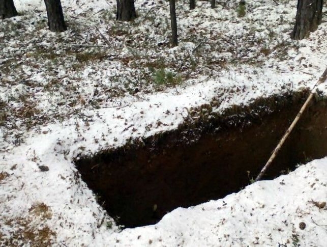 50 свежих могил выкопанных неизвестным обнаружили возле поселка жители Пеледуя
