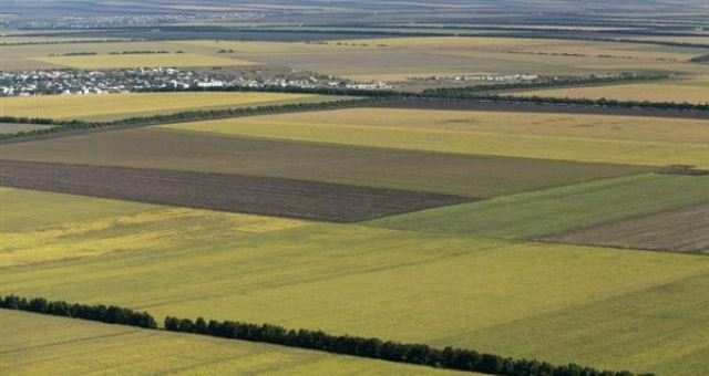 "Бесплатный гектар" земли на Дальнем Востоке рассмотрят уже 15 декабря