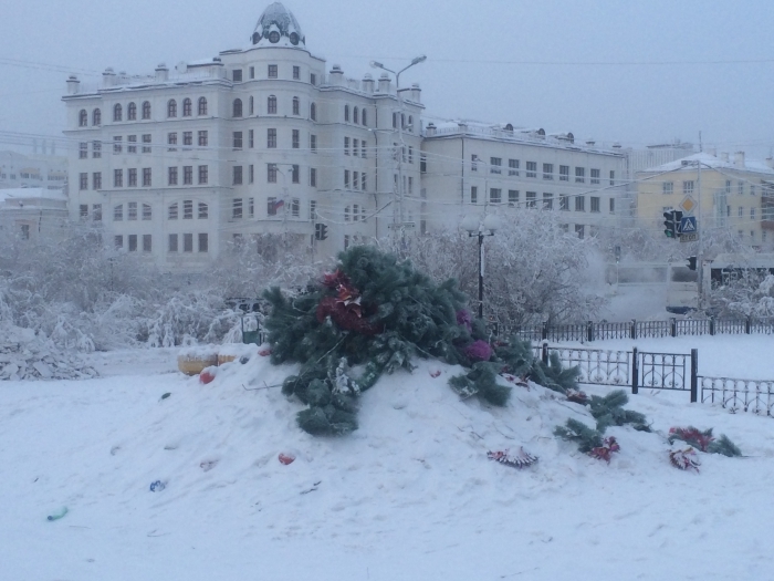Напротив прокуратуры Якутии вандалами разрушена новогодняя елка