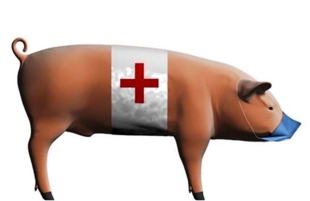 Вирусная реклама напугала якутян свиным гриппом