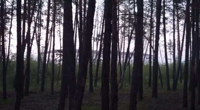 Полтергейст: приют для буйных душевнобольных в глубинах якутского парка (+Видео)
