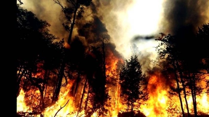 В Якутии действуют семь лесных пожаров