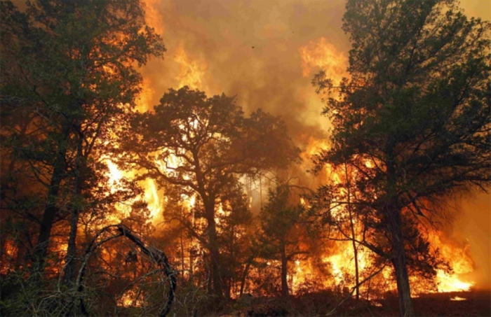 Пожарные из Якутии прибыли в Бурятию для тушения лесных пожаров