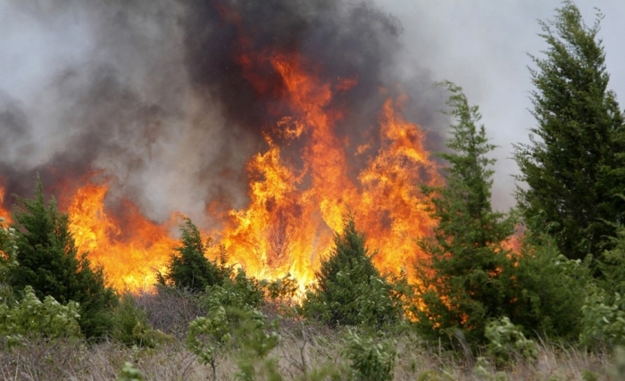 За неделю в Якутии ликвидировано девять пожаров, лес продолжает гореть в семи местах