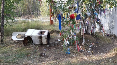 На границе Хангаласского района и Якутска Шаман-дерево превратили в помойку