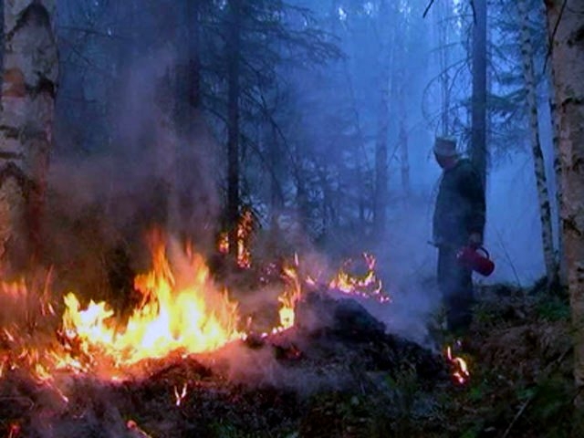 В Якутии на 25 мая действует один лесной пожар