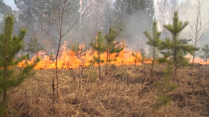 На территории Якутска и 14 районов действует особый противопожарный режим
