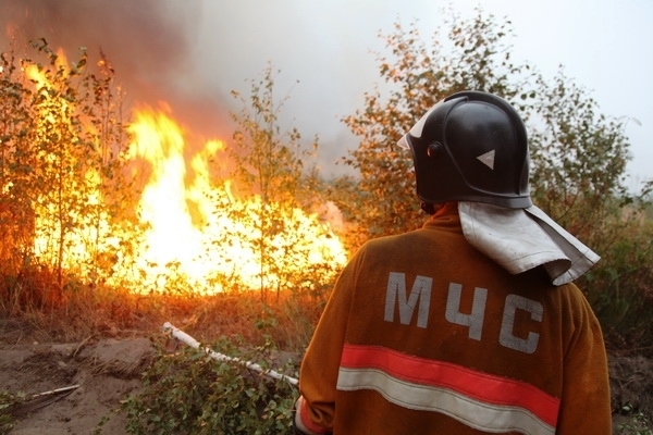 В Якутии на 24 июня новых лесных пожаров не зарегистрировано