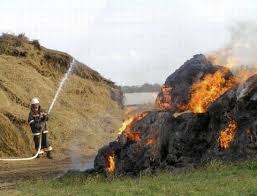 Пожарные спасли от огня одну тонну сена