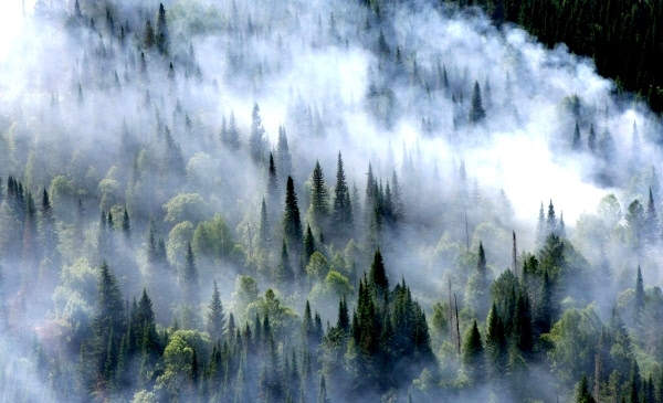 На 25 июня в Якутии лесных пожаров нет