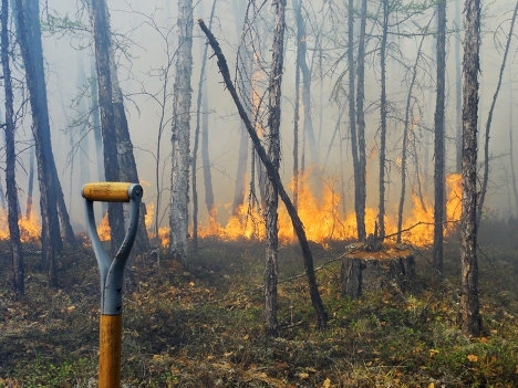 В  Якутии зарегистрировано 23 лесных пожара