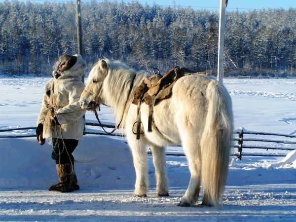 В ЯГСХА презентуют фильм о тяжелой жизни якутских коневодов