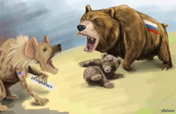 Мнение о Минских соглашениях: Медведь «показал свои зубы»