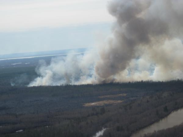В Якутии горит полмиллиона гектаров леса 