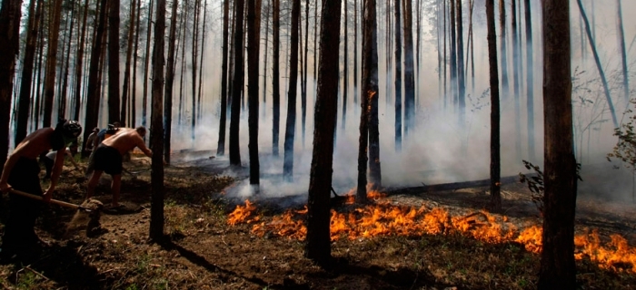 Общая площадь пожаров в Якутии с начала года составила  почти  миллион гектар