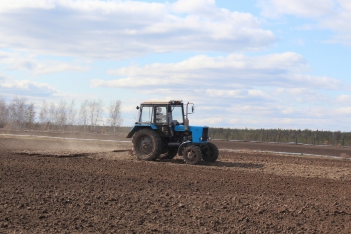 Лучших аграриев Якутска отметят в день сельского хозяйства 
