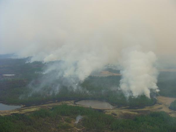 По состоянию на 22 июня в Якутии действует 17 лесных пожаров