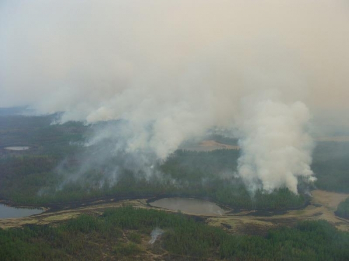  На территории Якутии зарегистрировано два лесных пожара 