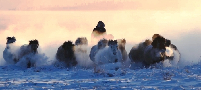 В Якутске презентуют нашумевший фильм о якутской лошади  