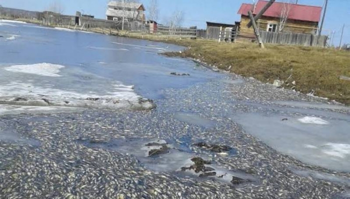 Сточные воды пригородов Якутска сливались в реку Лену