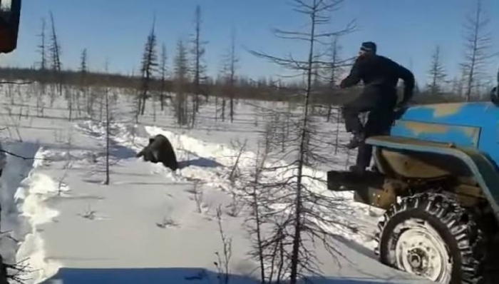 По факту жесткой расправы над медведем в Якутии возбуждено уголовное дело