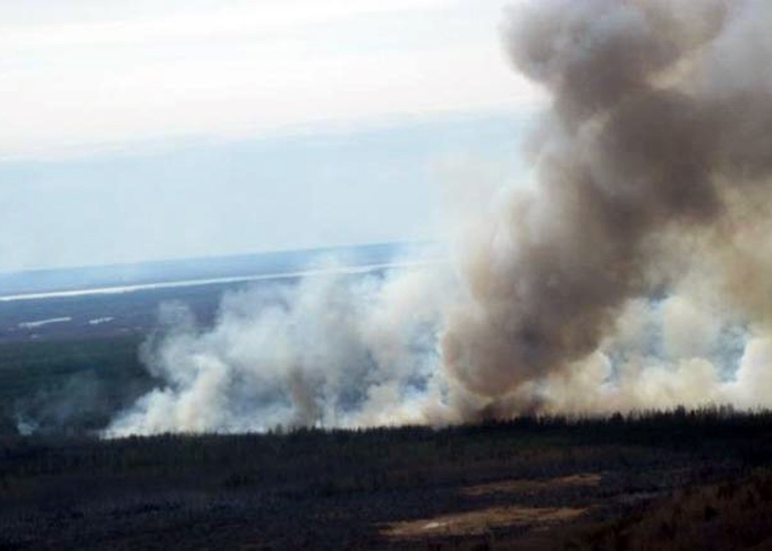 "Транснефть": ИНК из-за лесных пожаров приостановила поставки нефти в ВСТО