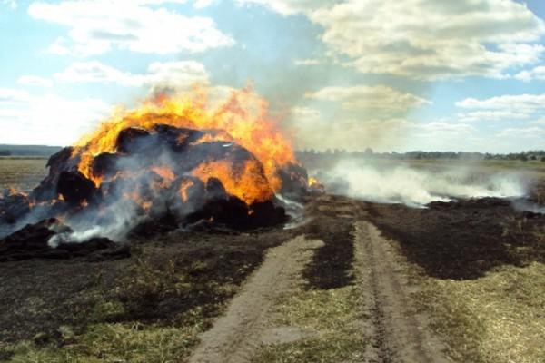 В селе Антоновка сгорело пять тон сена