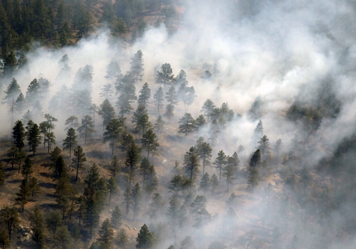 В Якутии, на Чукотке и в  Камчатском крае за сутки огонь уничтожил 270 га леса