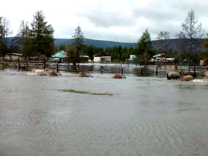 В Томпонском и Оймяконском районах Якутии ликвидируют последствия ливневого паводка