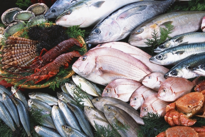 Цены на тихоокеанскую рыбу могут вскоре упасть