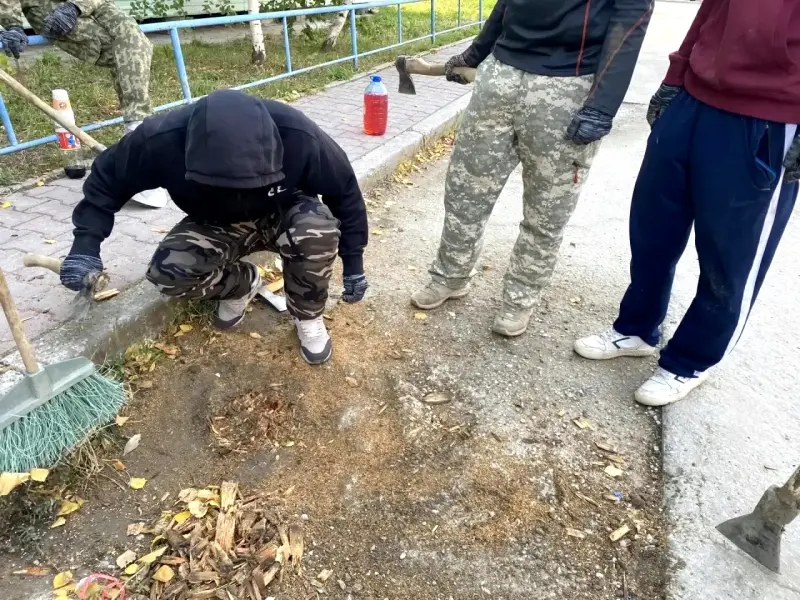 За неделю в Якутске ликвидировано свыше 900 старых пней 