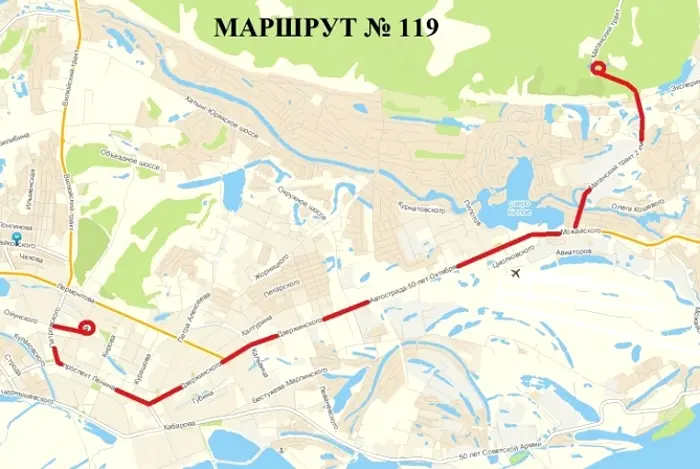Опубликовано расписание автобуса № 119 в Родительский день